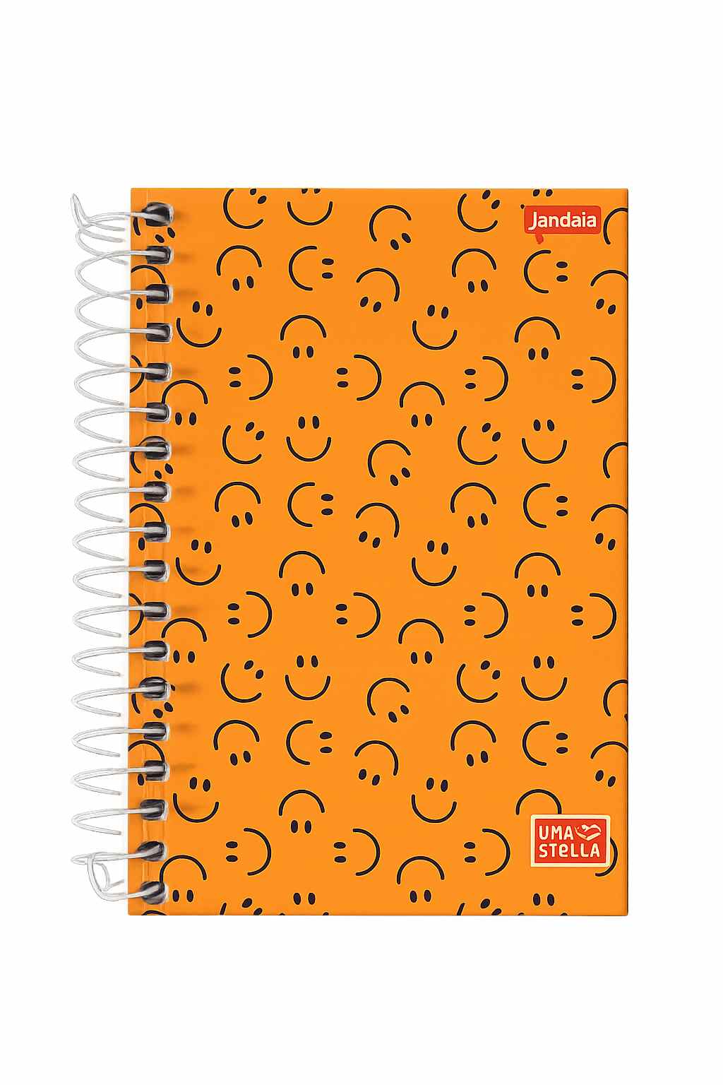 CADERNO ESPIRAL 1/4 CD STELLA 